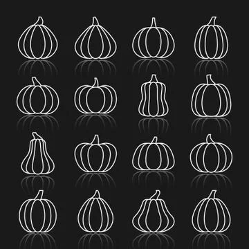 Pimpkin thin white line reflection icon set Illustrazione stock