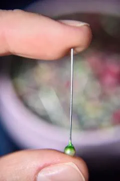 Pin with green head held with two fingers Stock Photos
