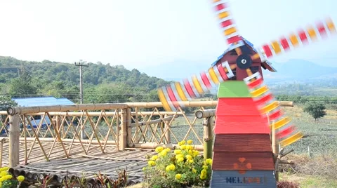 Pin wheel or windmill Stock Footage 45730468