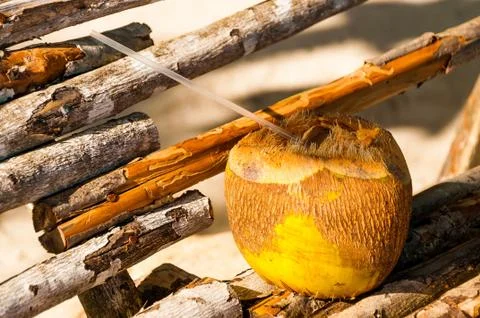 Pina Colada Served in a Coconut Stock Photos