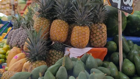 Pinaple 스톡 동영상 103032253