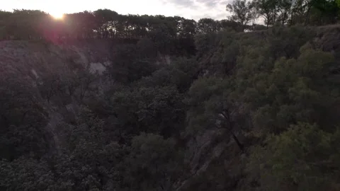 Pinar de la venta Forest At Guadalajara Jalisco Stock Footage 240780122