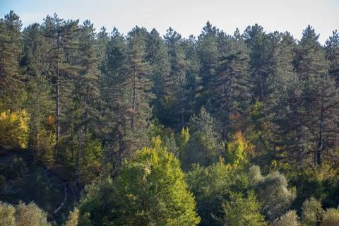 Pinarbasi canyon Stock Photos