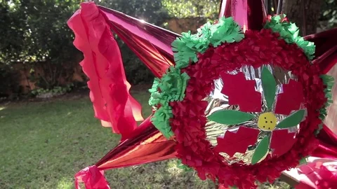 Pinata in the garden Stock Footage 84806641