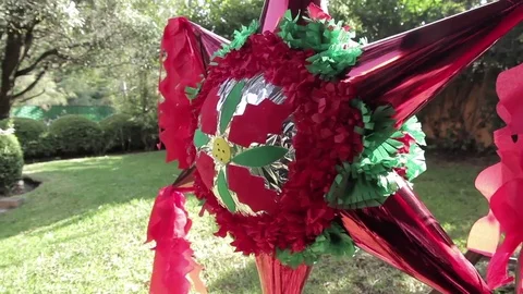 Pinata in the garden Stock Footage 84806643