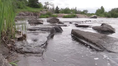 Pinawa River - flowing river 库存影片 77082851