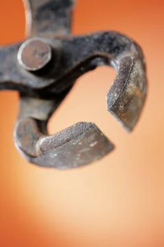 Pincer Stock Photos