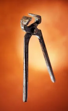 Pincers Stock Photos