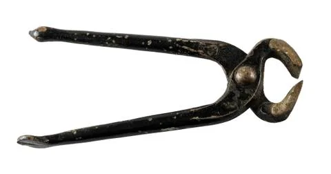 Pincers Foto stock
