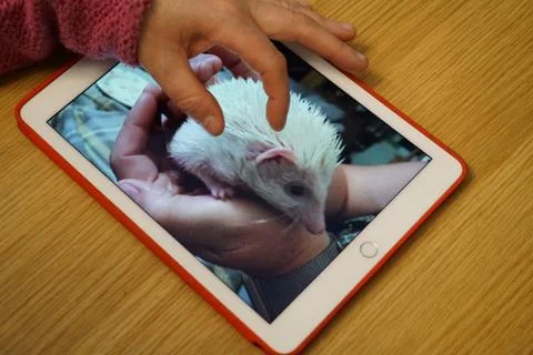 Pinch to zoom, touchscreen, tablet Stock Photos