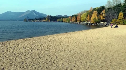 Pine and birch forest among sandy beach in autumn with lake in Borovoe Stock Footage 163437144