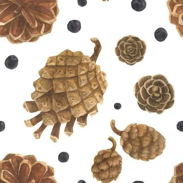 Pine and ceder cones seamles pattern Stock Illustration