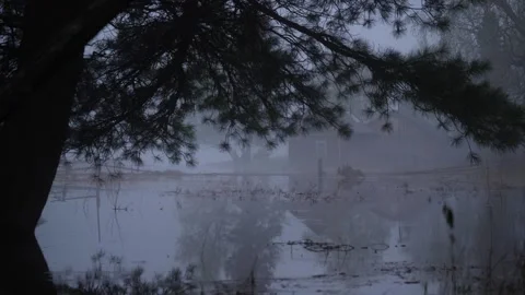 Pine and flooded houses, reflection in the water Stock Footage 269687630
