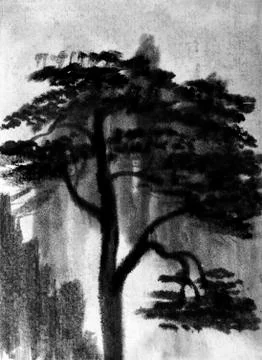 Pine and mountain Stock Illustration