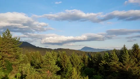 Pine and spruce forest, mountain peak in the distance, Blue sky with white Stock-Footage 198230120