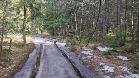 Pine and spruce forest paths with ice road. Stock Footage 301225868