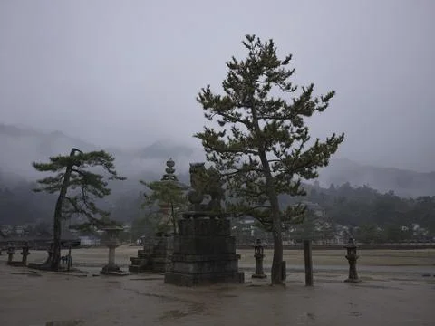 A pine and stone lantern on the shore with a misty tidal flat, Japan Stock Photos