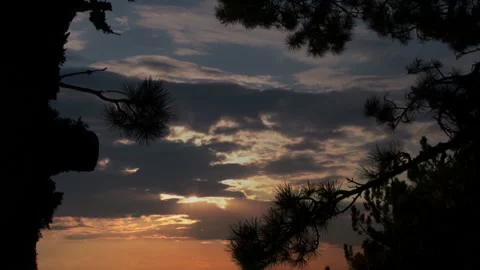 Pine and sunset 스톡 동영상 106458998