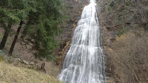 Pine and waterfall in Valsassina Video stock 266986148