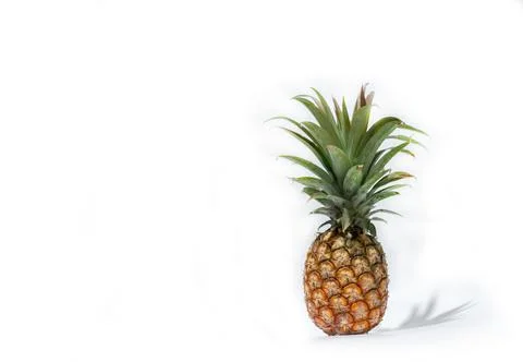 Pine apple withe shadow. Stock Photos