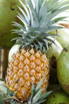 Pine apples Stock Photos