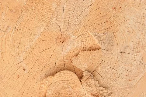 Pine background texture beige pure uneven saw cut large wood cracks annual Stock Photos