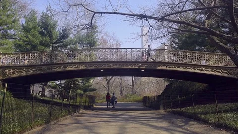 Pine Bank Bridge in Central Park Stock Footage 89303042