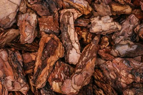 Pine bark mulch Stock Photos