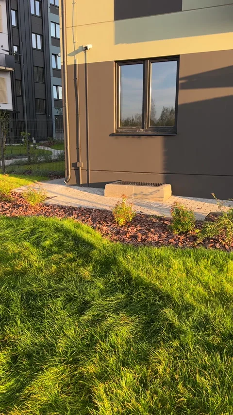 Pine bark for mulching soil on lawn in landscape design. Shrubs planting in city Stock Footage 318577769