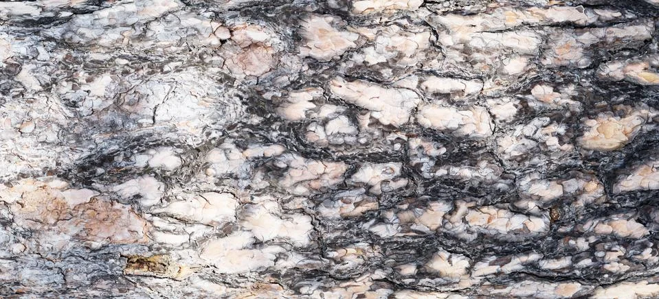 Pine bark Stock Photos