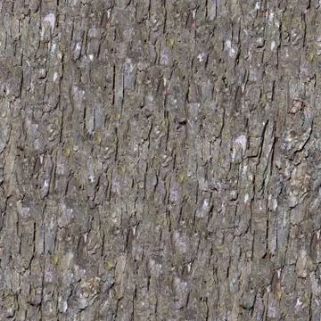 Pine Bark. Seamless Tileable Texture. Stock Illustration