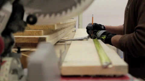 Pine Beetle Wood Cutting Video stock 32523992