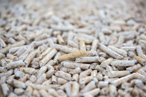 Pine biomass formed in pellets Foto stock