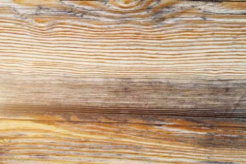 Pine board with old cracks Stock Photos