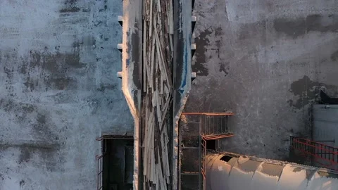 Pine boards are moving along a conveyor belt at the factory Stock Footage 169875465