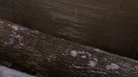Pine boards are moving along a conveyor belt at the factory Stock Footage 174715858