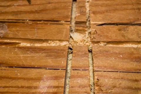 Pine boards, texture, background Foto stock