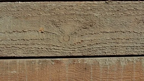 Pine boards wood texture Stock Footage 76163462