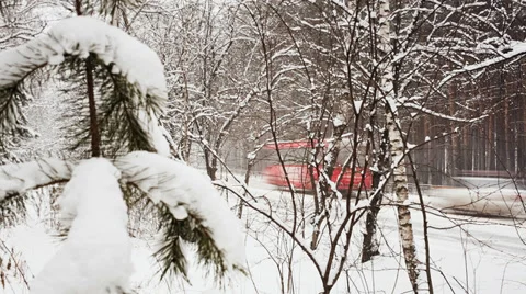 Pine branch and falling snow Stock Footage 39620244