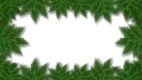 Pine branch border on a white background Stock Footage 321199121