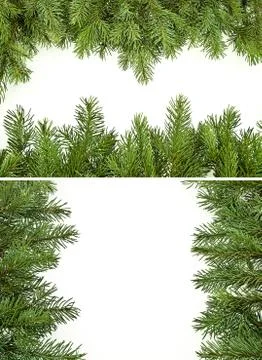 Pine branch borders Stock Photos
