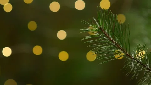 Pine Branch with Christmas Bokeh Lights Seamless Loop Background Video stock 344057959