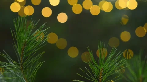 Pine Branch with Christmas Bokeh Lights Seamless Loop Background Video stock 344057962