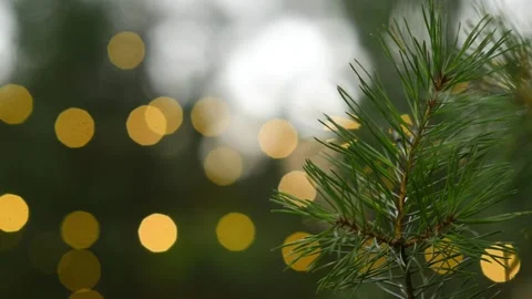 Pine Branch with Christmas Bokeh Lights Seamless Loop Background Video stock 344057964
