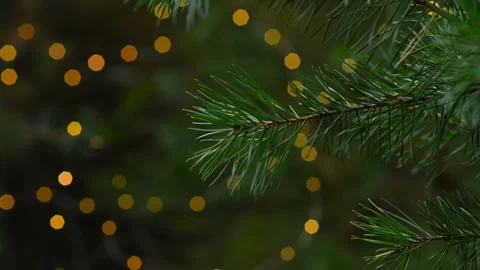 Pine Branch with Christmas Bokeh Lights Seamless Loop Background Video Stock-Footage 344057966