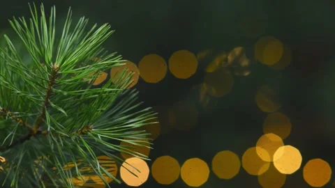 Pine Branch with Christmas Bokeh Lights Seamless Loop Background Stock Footage 344057968