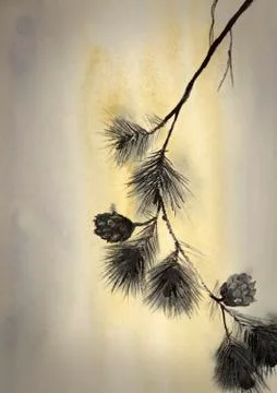 Pine branch with cones Stock Illustration