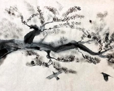 Pine branch Illustrazione stock