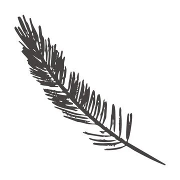 Pine branch Ink imprint vector illustration isolated on white background Stock Illustration