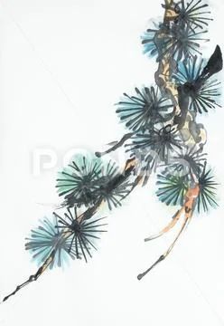 Pine branch on a light background Stock Illustration